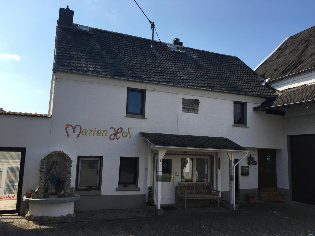 Ferienwohnung Marienhof Erdgeschoss Seelbach  Exterior foto
